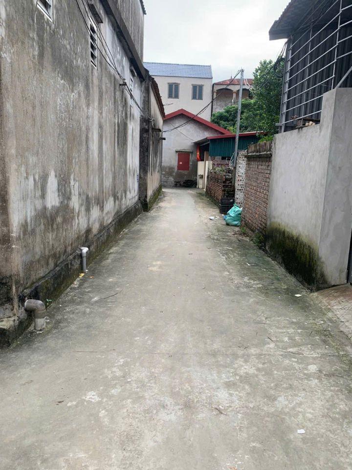 BÁN 80M2 ĐẤT THÔN BÙI XÁ, XÃ NGŨ THÁI,THUẬN THÀNH,BẮC NINH:MẶT TIỀN 5,5M,HẬU 5,9M GẦN ĐƯỜNG VÀNH ĐAI 4, ĐƯỜNG TÔ QUYỀN