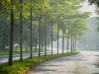 Cần bán biệt thự song lập vườn mai kđt ecopark hưng yên dt 162m2 nhà hoàn thiện  0913 969 ***