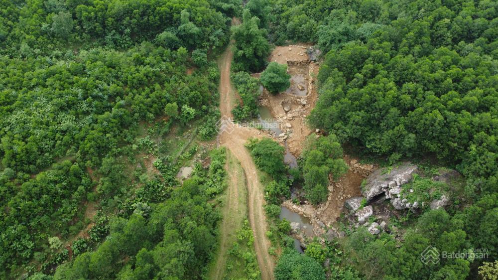 Bán vườn xoài 3,5ha giá rẻ 1,9 tỷ, xe tải tới đất, cách biển bãi dài 9km, gần nha trang