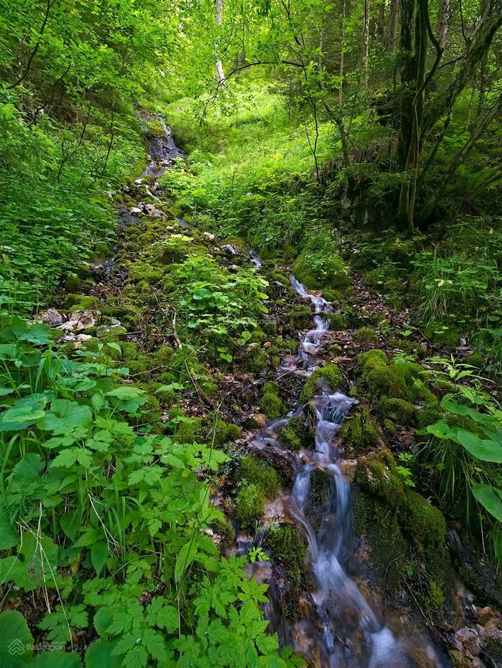 Bán vườn xoài 3,5ha giá rẻ 1,9 tỷ, xe tải tới đất, cách biển bãi dài 9km, gần nha trang