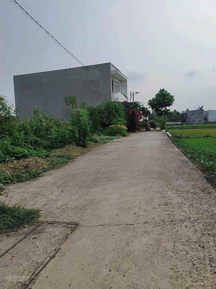 Bán đất sổ hồng riêng giá rẻ tại xã bình mỹ, tp. hồ chí minh diện tích 5x20m