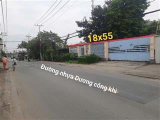 Cần bán biệt thự nhà vườn mặt tiền đường dương công khi, xã xuân thới thượng, hóc môn, tphcm