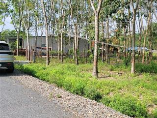 Cần chuyển nhượng hơn 11000m2, đất 2 mặt tiền ngay đối diện safari
