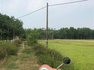 Gia đình cần chuyển nhượng đất ngang 93x26m tổng diện tích 2364m2