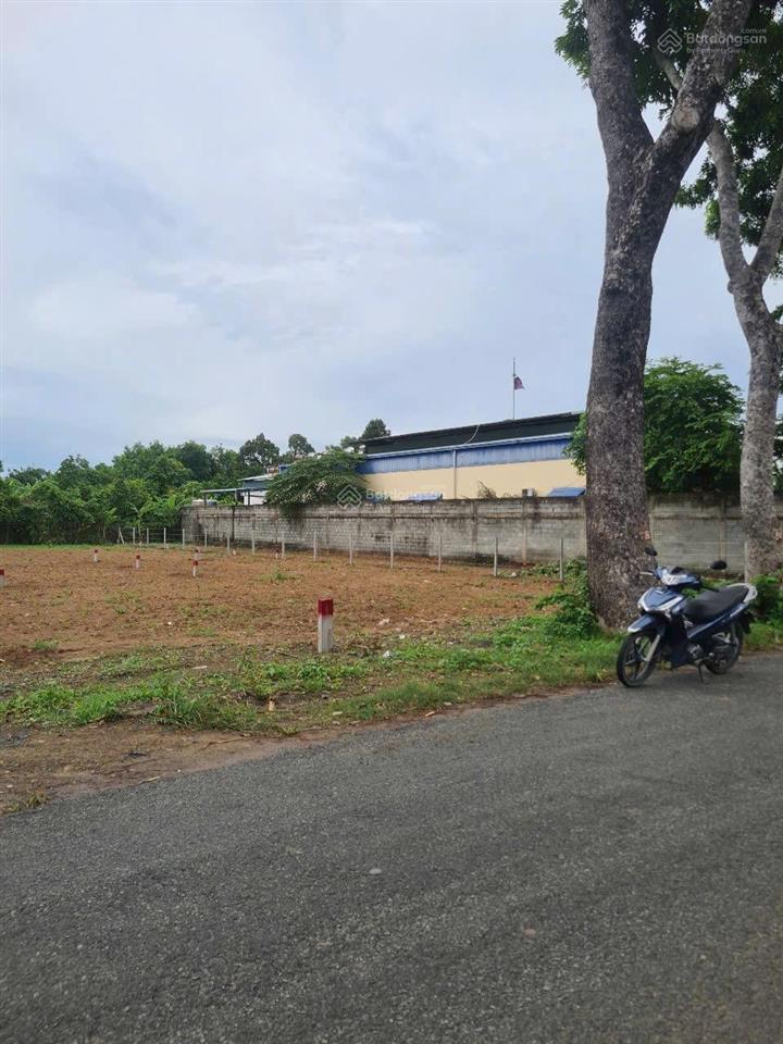 Bán đất thổ cư xã bình mỹ 3900m2