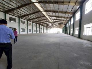 Cho thuê nhà xưởng cụm cn đức thuận long an. dtx 20.000m2. giá 76.290đ/m2/th