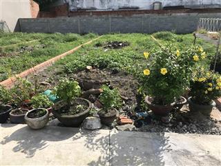 Bán đất shr 5x20m, công nhận 99,4m2, đất ở, đường vào oto, khu dân cư, ngay đặng thúc vịnh vào 100m