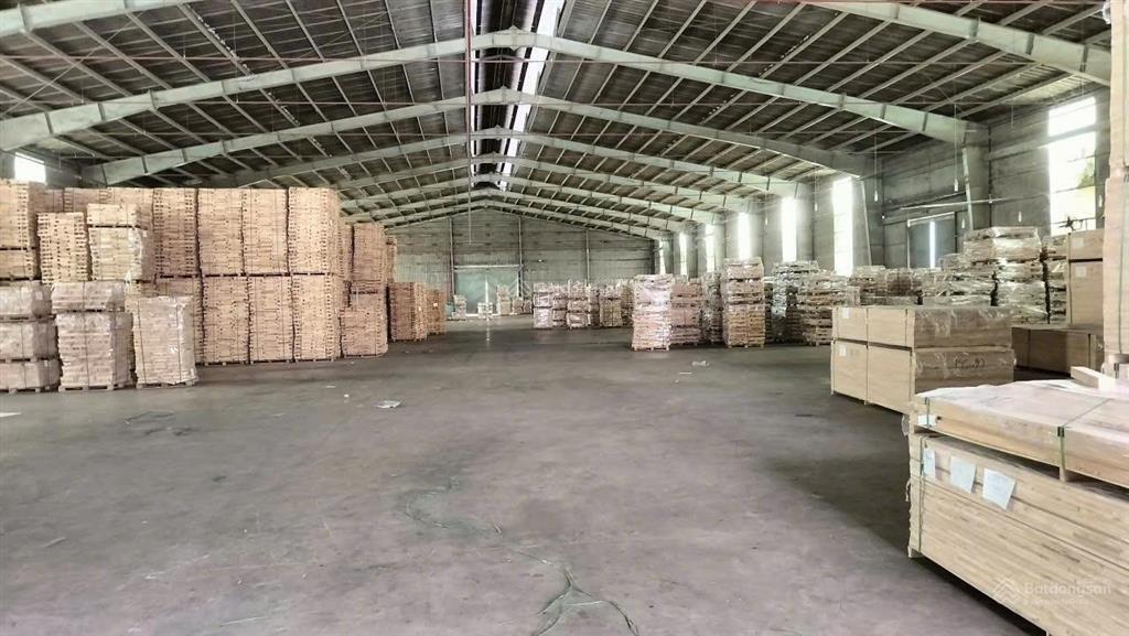 Cho thuê kho xưởng 22.000m2, gò dầu, tây ninh