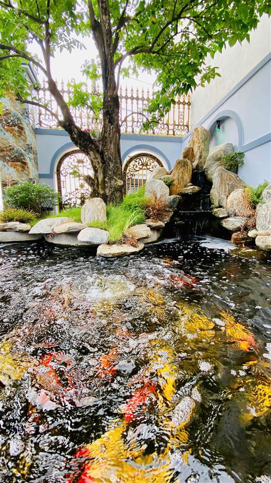 Biệt thự mái nhật 10x46m đẳng cấp có hồ cá koi vào ở đón tết