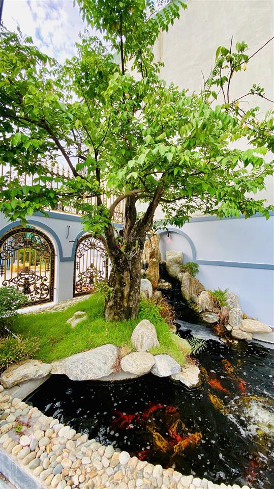 Biệt thự mái nhật 10x46m đẳng cấp có hồ cá koi vào ở đón tết