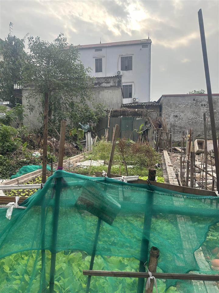 Bán 69.3m2 đất kiên thành  trâu quỳ  gia lâm