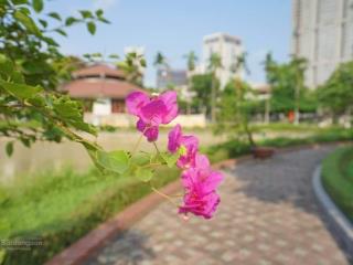 Bán nhà liền kề khu đô thị an hưng để lại full nội thất nhập khẩu. hoàn thiện có hang máy về ở ngay
