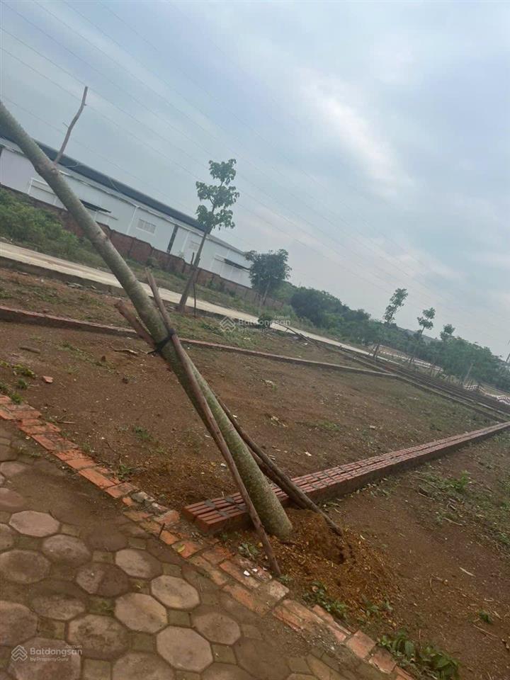 Bán đất nền phân lô tại xã phú cát cạnh nhà máy in tiền quốc gia
