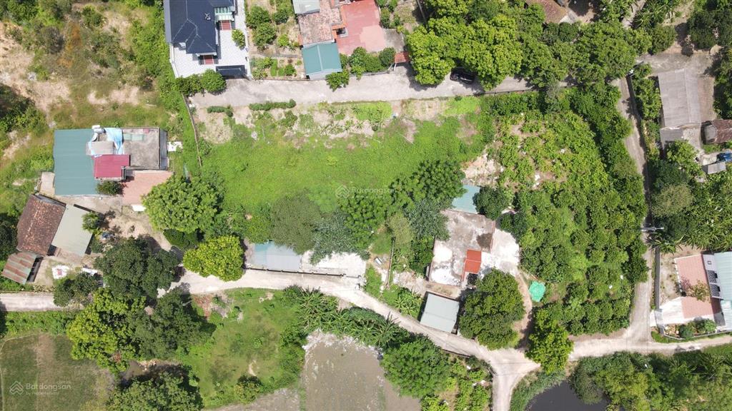 Bán đất nghỉ dưỡng tam đảo, vĩnh phúc diện tích hơn 1000m2 có thổ cư