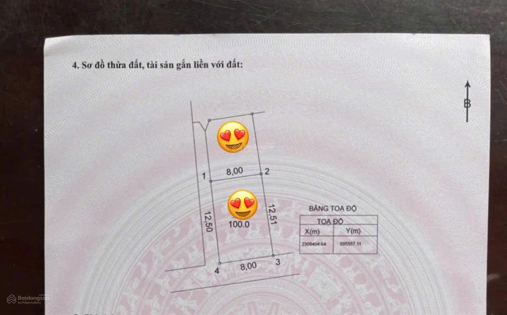 Bán siêu phẩm 100m2 lô góc 2 mặt tiền xóm 1 tự nhiên, thường tín giá chỉ hơn 30tr/m2