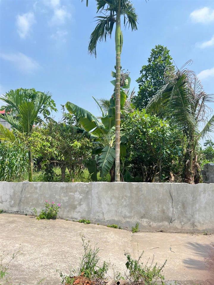 Bán siêu phẩm 80m2 ngay trung tâm xã chương dương giá 3.9 tỷ dt 80m2