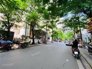 Bán np view đẹp tại tân phong, q7, hcm, giá cực chất 58,3 tỷ, 111m2