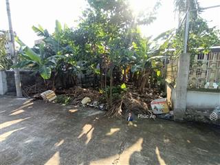 Bán rẻ mảnh đất 539 m2 tại tân phong, kiến thụy  hải phòng