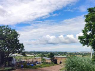31,5 tỷ diện tích 30.000m². đức trọng, lâm đồng cách sân bay 3km