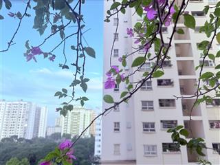 Cc (tập thể cũ) ở hoàng thế thiện, 2,5 tỷ, 35m2, giá siêu hời