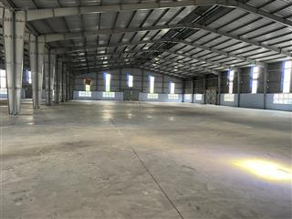 Cho thuê kho xưởng 8000m2, 300tr thuận an