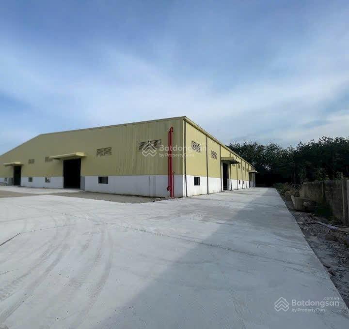 Cho thuê xưởng 5000m2, 287 triệu/tháng bàu bàng, 0907 838 ***