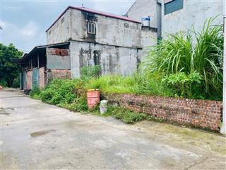 Vip! bán 2 mảnh đất 59m2 tại bìa làng đình tràng, dục tú, đông anh, hn