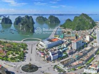 Diện tích 120m2  địa chỉ phường đại yên, thành phố hạ long, quảng ninh