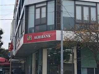 Bán tòa nhà lô góc mặt phố lý thái tổ vị trí kim cương doanh thu khủng từ agribank