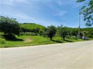 Cơ hội đầu tư tại quốc lộ 438b  diện tích 8.000m² (sổ đỏ, đất rừng sản xuất).