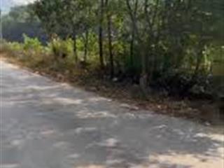Cơ hội đầu tư tại quốc lộ 438b  diện tích 8.000m² (sổ đỏ, đất rừng sản xuất).