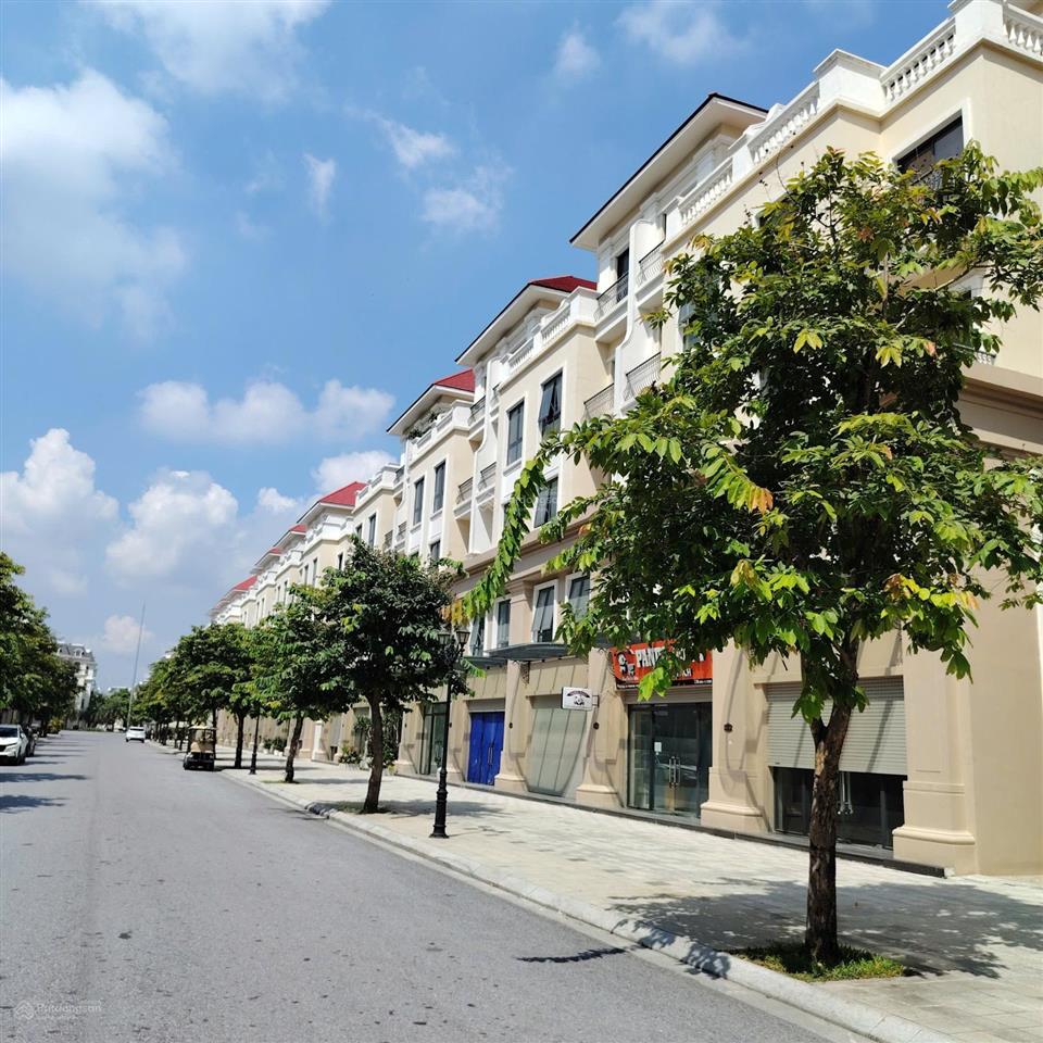 Cực hiếm ! bán gấp biệt thự song lập ocean park 2, dts 284m2, mt 8.5m, cạnh công viên giá cực rẻ