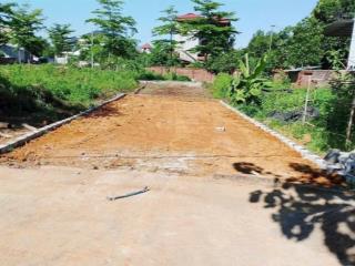 Chủ cần tiền bán nhanh 61,8m tân xã gần khu đấu giá  khu đất dịch vụ  tái định cư tân xã hoà lạc