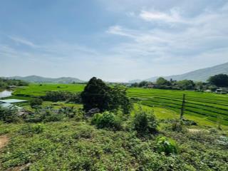Bán siêu phẩm 1622m2 đất thổ cư view cánh đồng núi non tuyệt đẹp tại cao sơn lương sơn hòa bình