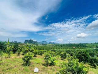 Siêu phẩm 1.1ha khuôn viên nghỉ dưỡng đầu tư sinh lời cao tại cao phong hoà bình giá 4.xty