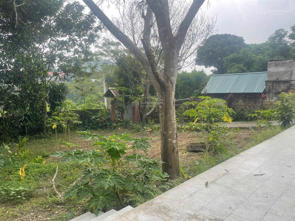 Chuyển nhượng khuôn viên nhà vườn tại lâm sơn, lương sơn, hòa bình dt 512m có 400m thổ cư wieu nui