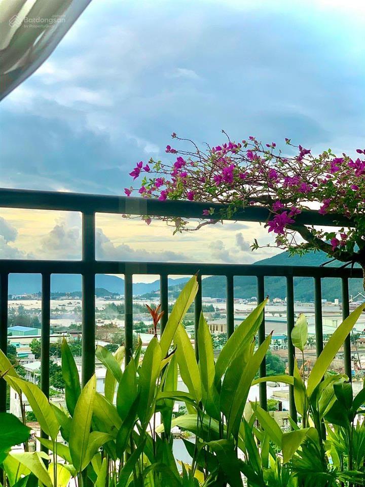 Bán căn hộ cao cấp sơn trà ocean view 1 phòng ngủ sẵn sổ  giá rẻ.  0905 552 ***
