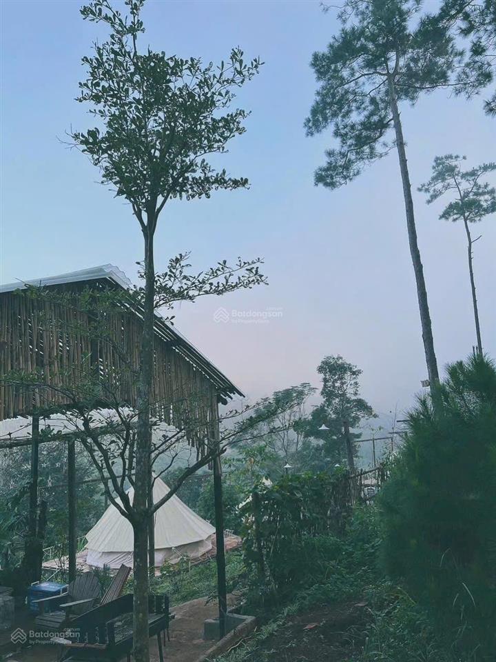 Cắt lỗ 40% giá trị đất 1000m2 sang tên nhanh, view có hồ và rừng thông liên he 0901 844 ***