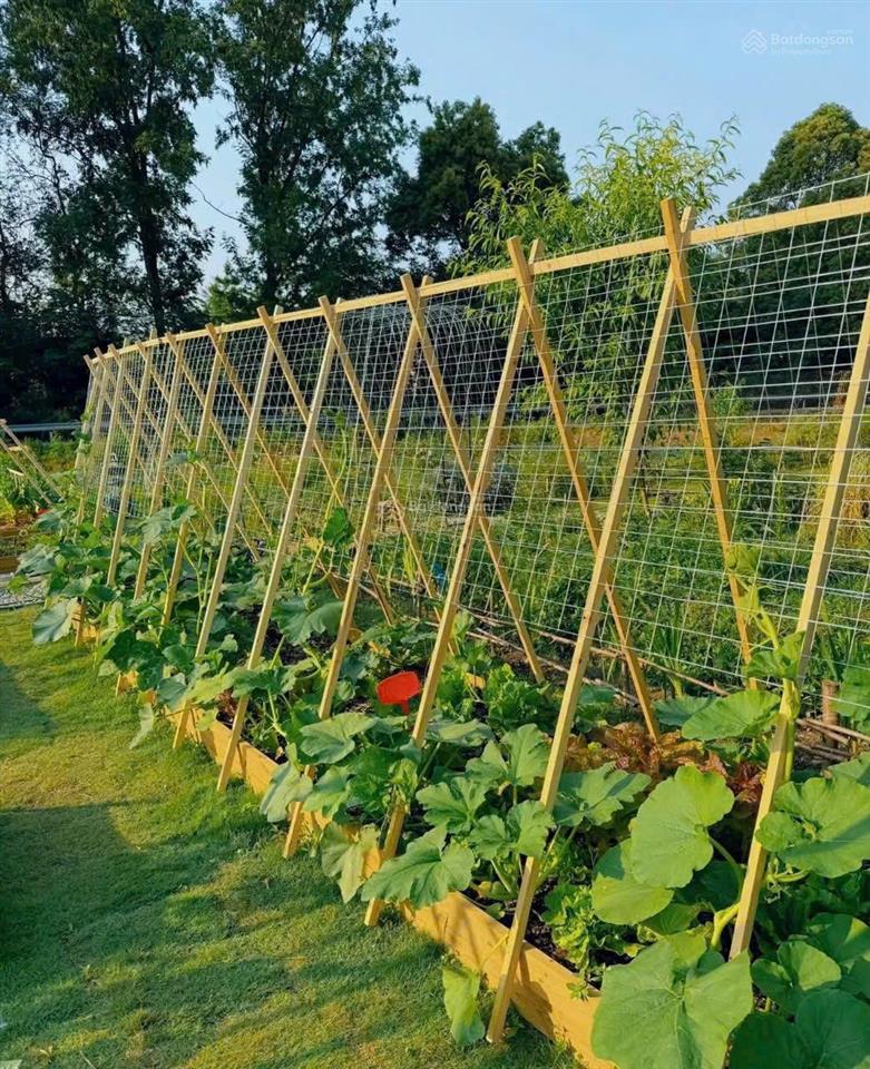 Cắt lỗ 40% giá trị đất 1000m2 sang tên nhanh, view có hồ và rừng thông liên he 0901 844 ***