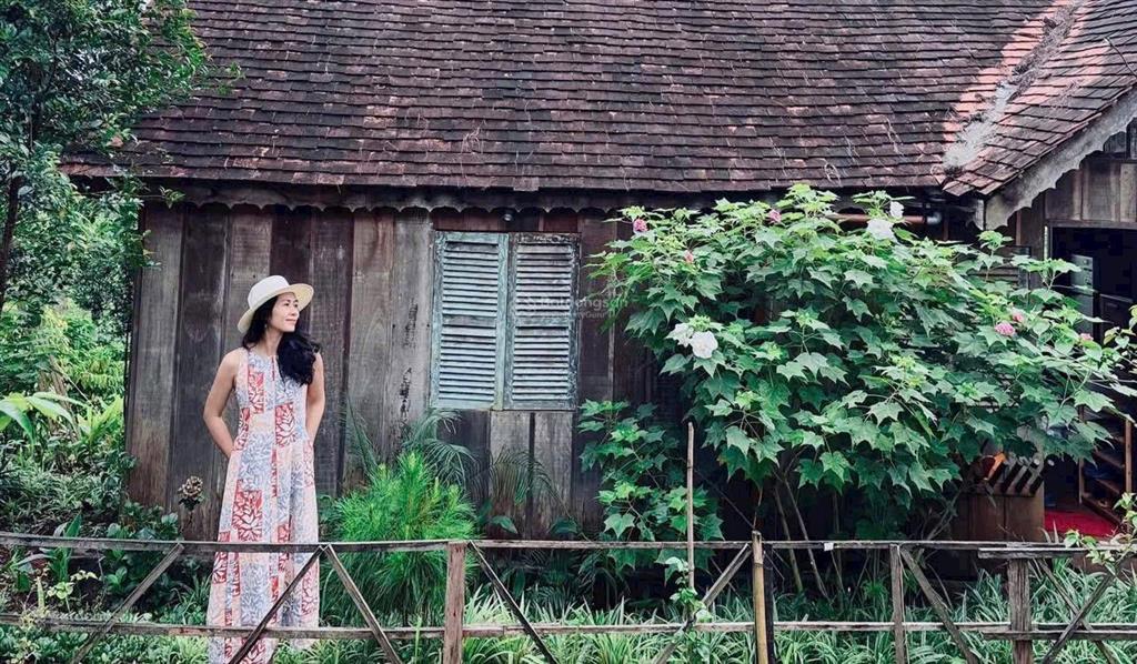 Cắt lỗ 40% giá trị đất 1000m2 sang tên nhanh, view có hồ và rừng thông liên he 0901 844 ***