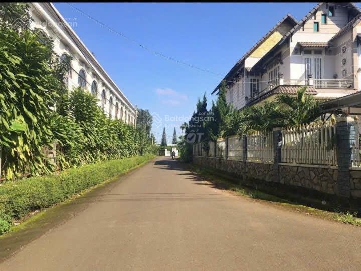 Cắt lỗ 40% giá trị đất 1000m2 sang tên nhanh, view có hồ và rừng thông liên he 0901 844 ***