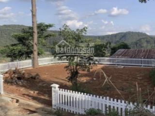 Bán đất đèo mimosa p10 đà lạt có sổ sang tên