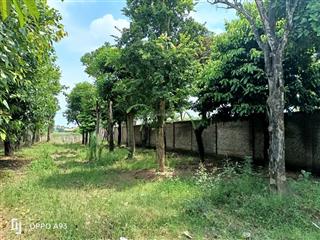 Cần bán gấp 500m2 đất mặt đường đại lộ thăng long  an khánh lô góc 2 mặt tiện làm show room gara