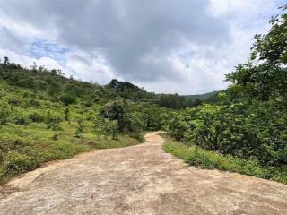 Bán 2,2ha đất tại tân lạc  hoà bình có 3000m2 thổ cư mà giá chưa đến 400k/m  ngay 0936 338 ***