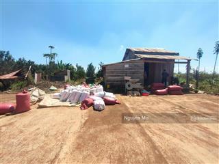 Cần bán đất có vườn tiêu sổ hồng riêng, view hồ tại đắk nông. 0984 585 ***