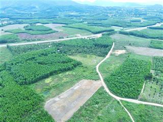 Bán 4.000m2 diên lâm  diên khánh 900 triệu