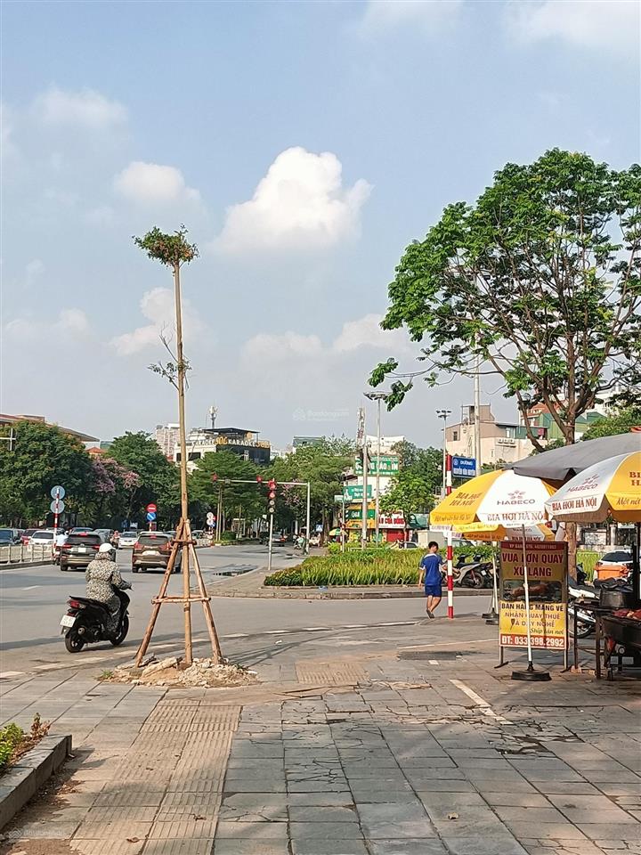 Giá chỉ 250tr/m2 tòa nhà mặt phố nguyễn khánh toàn logoc dòng tiền 2 tỷ/tháng
