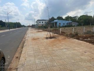 Hàng đẹp nha quý anh chị ngay chung tâm thị trấn đất đỏ bà rịa vũng tàu  dt 565 m 12 x 45 m thổ