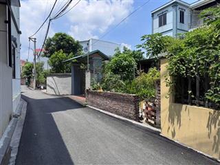 Đón đầu vin cổ loa  cầu tứ liên  vin tàm xá  hàng hiếm 84m2 xuân canh  chạy vòng quanh đất