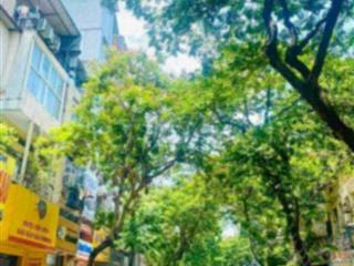 BÁN GẤP NHÀ ĐỘI CẤN TT BA ĐÌNH KD DÒNG TIỀN 50 TRIỆU / THÁNG 13,3 TỶ 